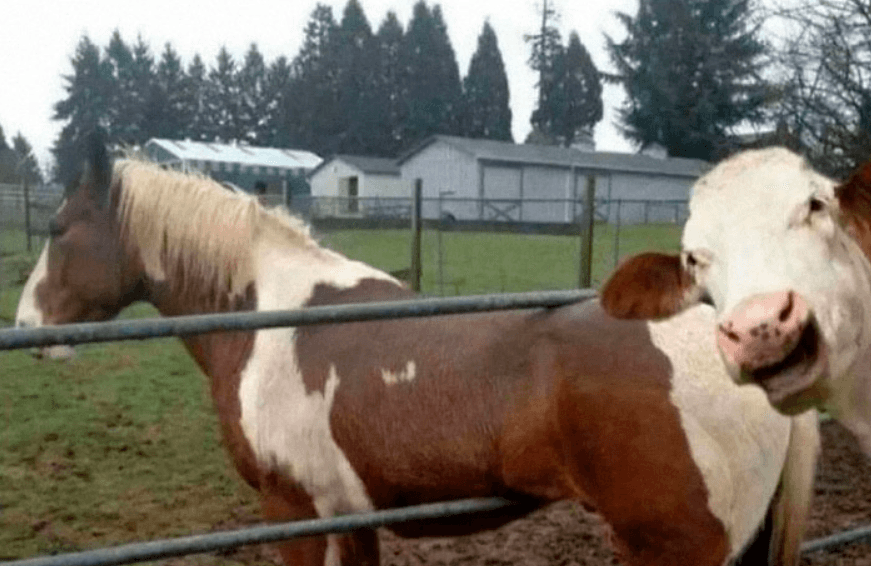 What Real DeFi Looks Like on Solana (And Why Most of You Haven’t Seen it Yet)